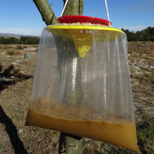 Lade das Bild in den Galerie-Viewer, Outdoor Fliegenfalle 8 Liter Fliegenfalle für draußen
